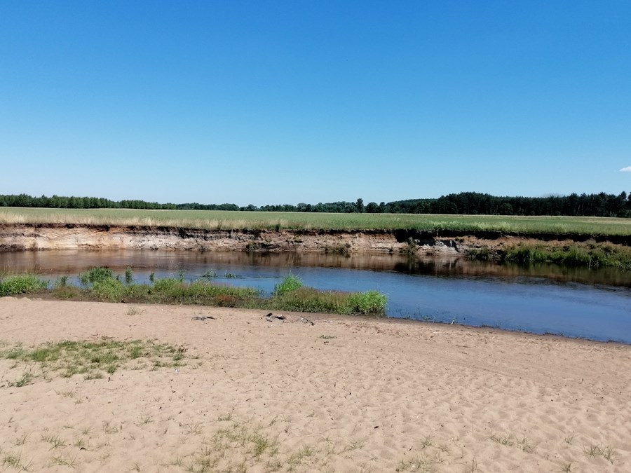 Plaża nad Pilicą w okolicy Maluszyna